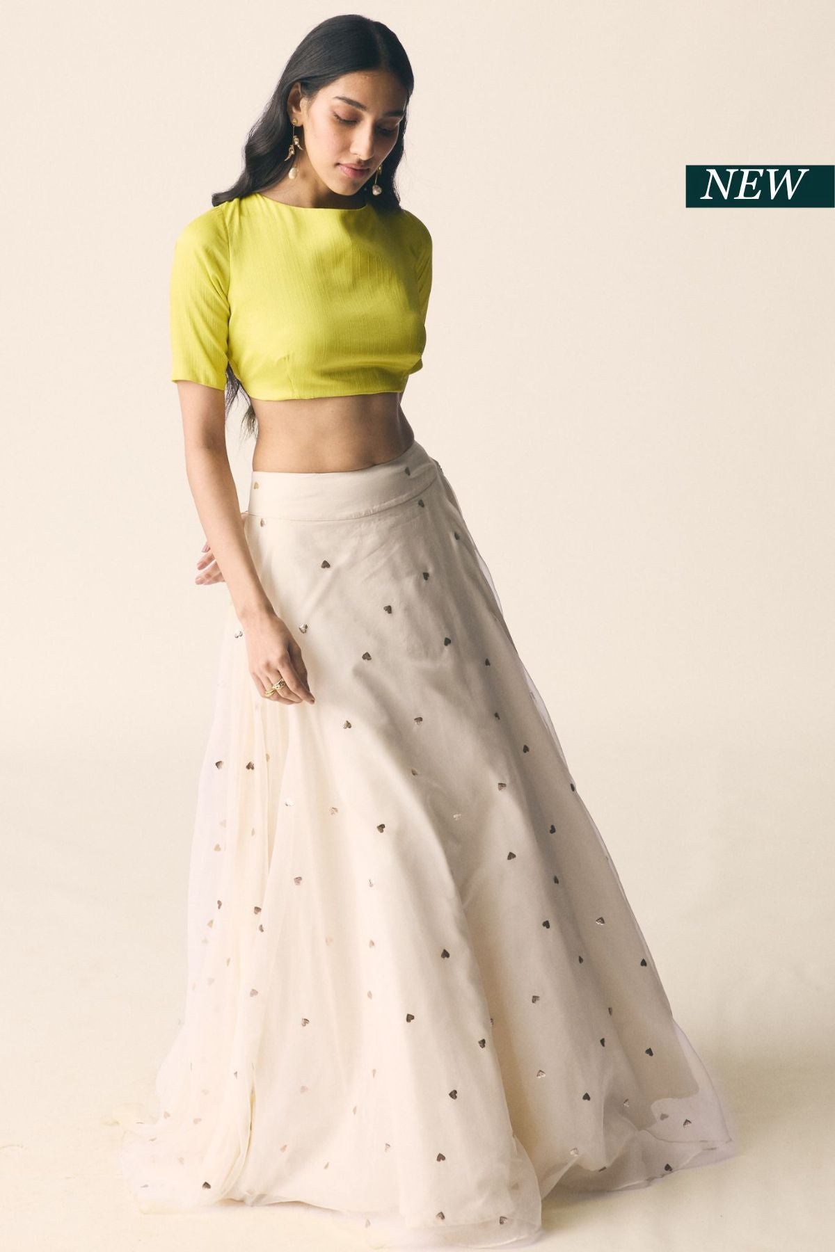 Sitara Set in Organza with Neon Green Blouse